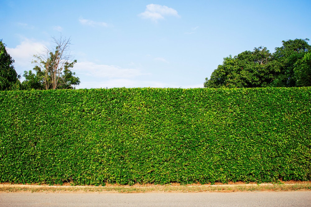 Clôture de jardin : comment bien choisir pour préserver votre intimité et embellir votre extérieur